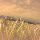 QQ20171014153849360992893ce99a1a