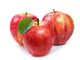 tmp2_lth_wje942942958ed2b88.png