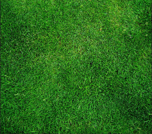 tmpvwj5szf385ef4bcba459707c.png