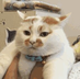 5b86120f9dc6d65819af23c16ba35e91d57490f3.png