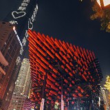 chongqin521-228e8d50fa5176511