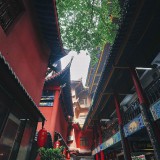 chongqin521-24c2b97d3afcb80b35