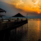 laihu330-39fb54b8c431d9b70