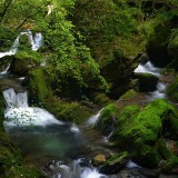 lioutang525-102f01001cd668be6