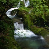 lioutang525-28143d15a186e8808