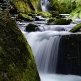 lioutang525-68b4417a734e38714