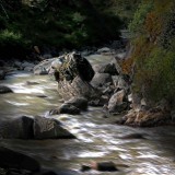 lioutang525-7ee4c8d5ae0f4d0c4