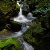 lioutang525c49183e0c3a10f45