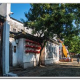 nanxuen310-196e6dd137484cf144