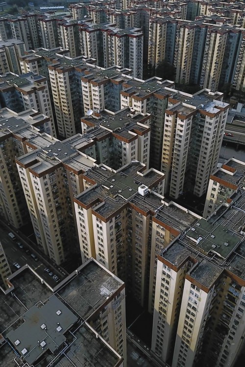 tanxian54 (25)