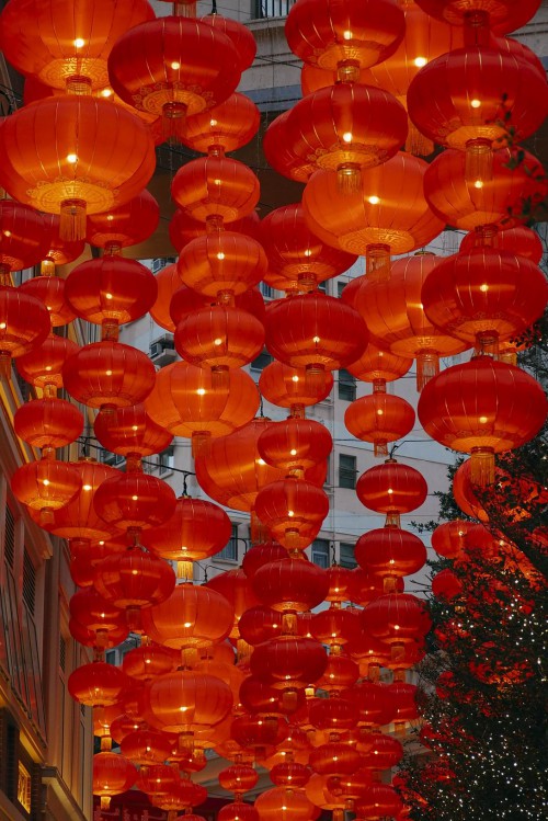tanxian54 (7)