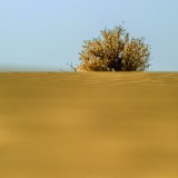 xinjiang446cb8a1d240b1eef2