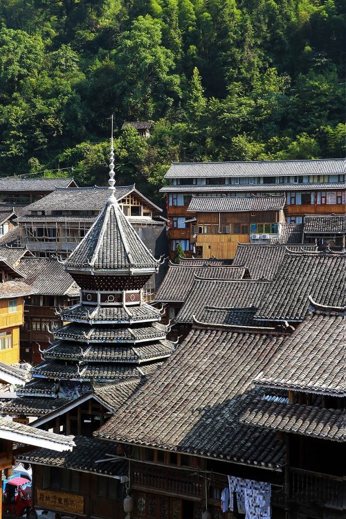 duZhen311 (2)