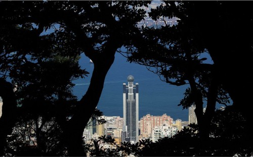 xiangye31 (7)