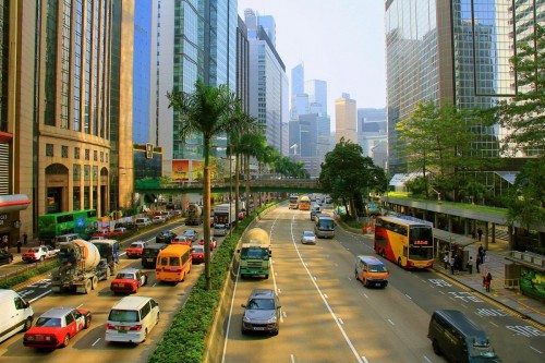 xiangye31 (9)