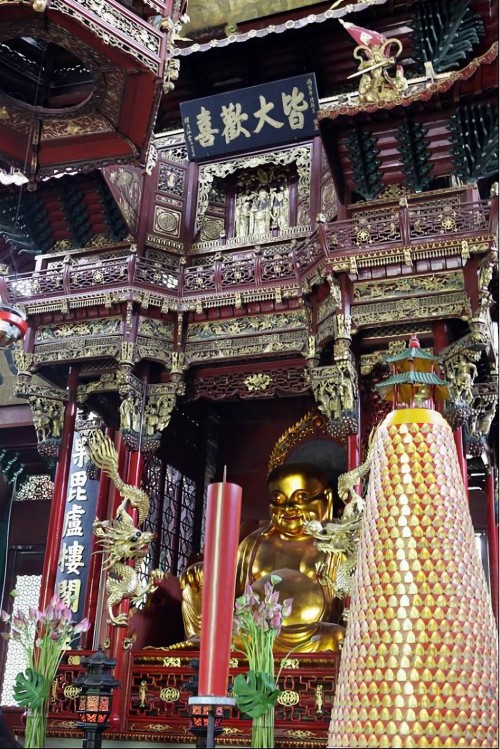 lingyinsi547 (47)