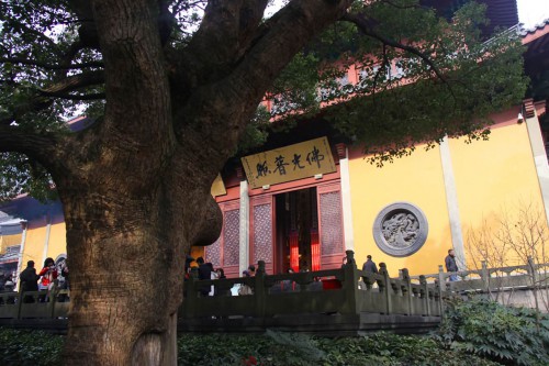 lingyinsi547 (52)