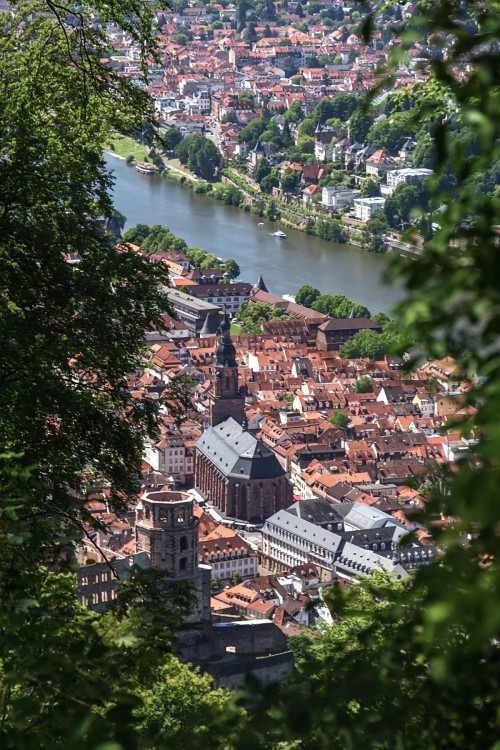 Heidelberg11 (48)