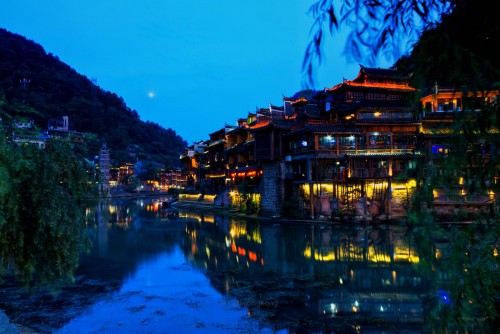 fenghuang55 (62)