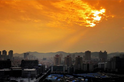 dongguan55 (14)