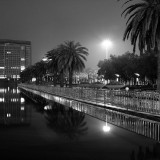 dongguan55-1950376f1919fd63d5