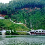 dongguan55-227dee46db293a45da