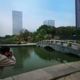 fushan99-10153e646103494114