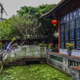 fushan99-8c5259a4344ffa745