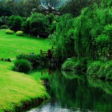 liouzhou77-37c35e51e86c147470