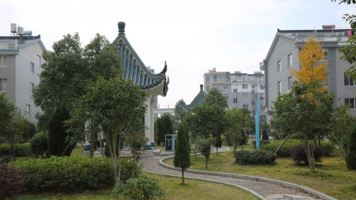 taizhou747 (11)