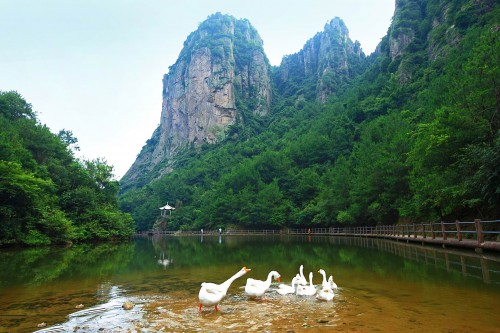 taizhou747 (22)