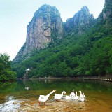 taizhou747-22396c60d3863d4188