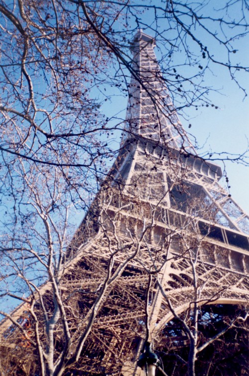 eiffel-tower-1236025d2681cd4da516b73.jpg