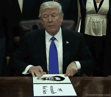 DonaldDraws1486612822271f1430cb1d3806adf.gif