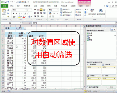 [060]如何对数值区域使用自动筛选功能