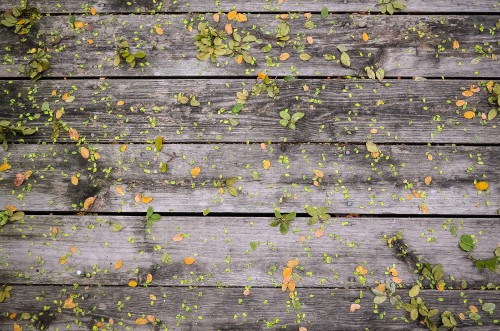 steve-richey-141-unsplash9b33ae21c2e8a203.jpg