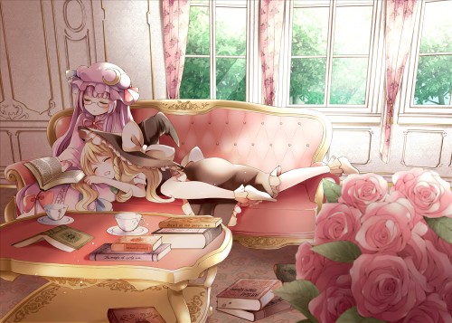 Konachan.com---132610-2girls-ayuko_ayuco-blonde_hair-blush-book-dress-flowers-glasses-hat-kirisame_marisa-long_hair-purple_hair-ribbons-rose-sleeping-touhou-tree16865c0a0a033eeb.jpg