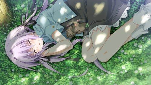 Konachan.com---139642-1_2_summer-alcot-animal-cat-game_cg-grass-kuonji_sora-purple_hair-sesena_yau-sleeping-twintails15d307cd528e2a00.jpg