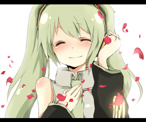 MIKU120eebd1e4d11f2328f.png