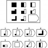 Page-03-Image-503a75f3245506e1b