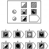 Page-13-Image-2515e5640b64370fe8