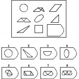 Page-14-Image-275b39d5a43d9184f6