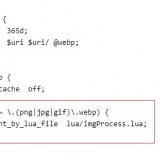 nginxwebplua03e80bf8dc3f9b85