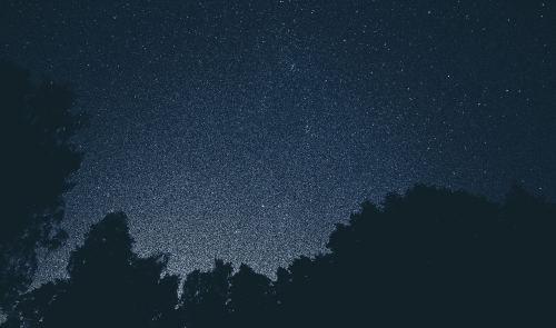 shanliang_de_xingxing-004-2c56e7b04d94ba1d3.png
