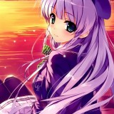 categories155f0480ffc69b97