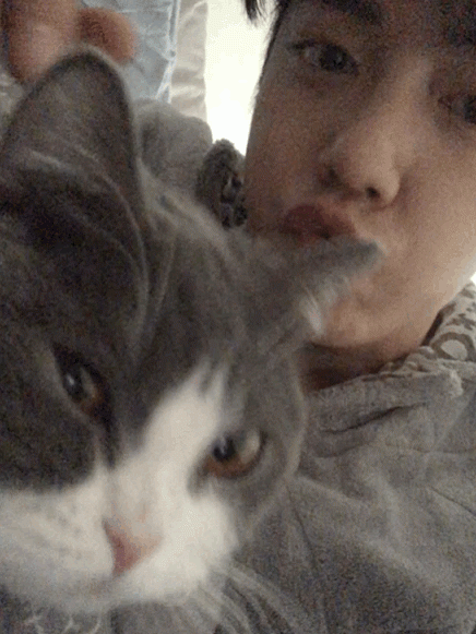 img-007QyZ77gy1gbgzje7mjeg30c40g51l2be4ecea5e0c186eb.gif