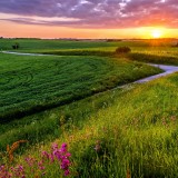 14727250067551548dfc19ca5b533