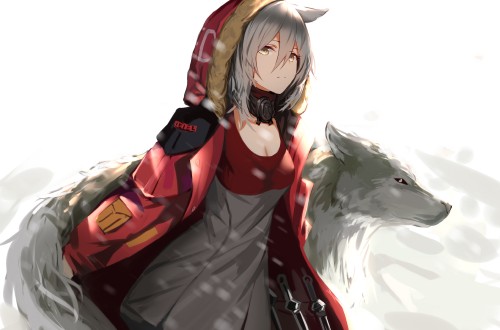 74644107 p0