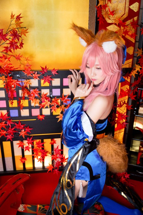 49_tamamo_49_compressed3873587c36d27105.jpg