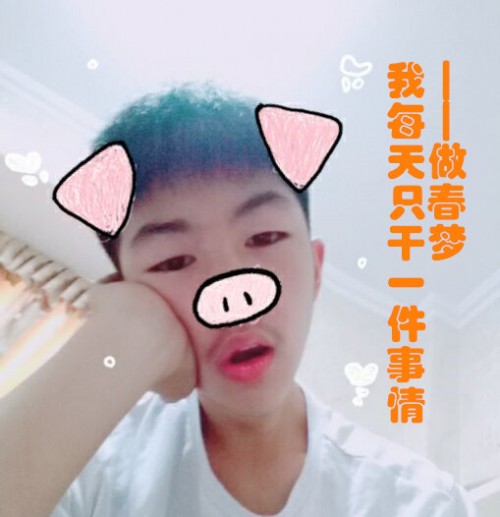 春梦猪2
